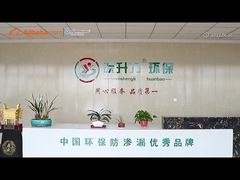 Company's description